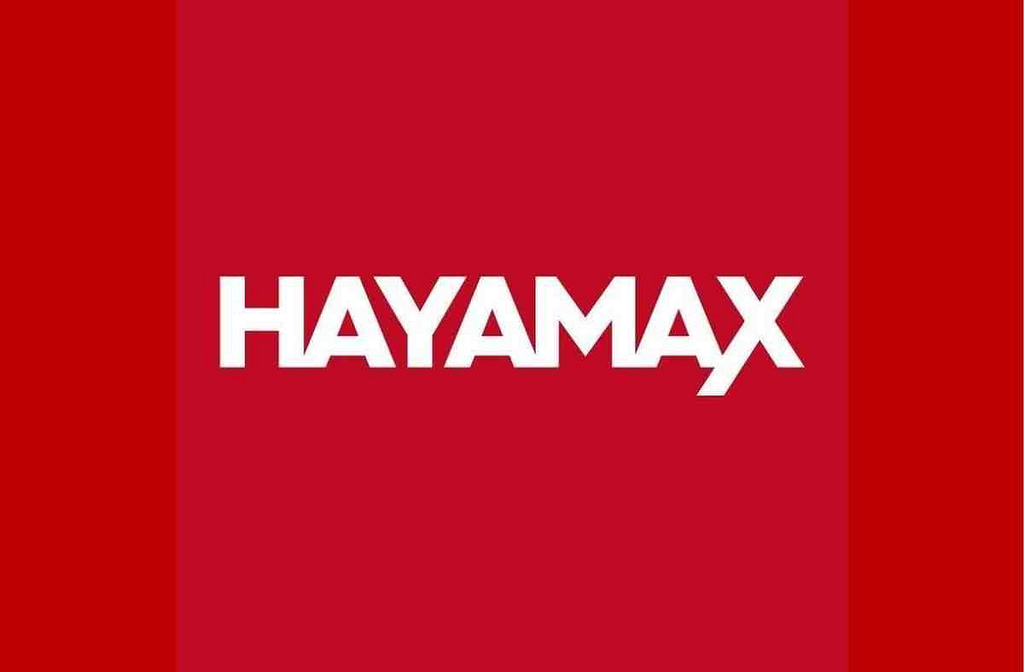 Hayamax Distribuidora