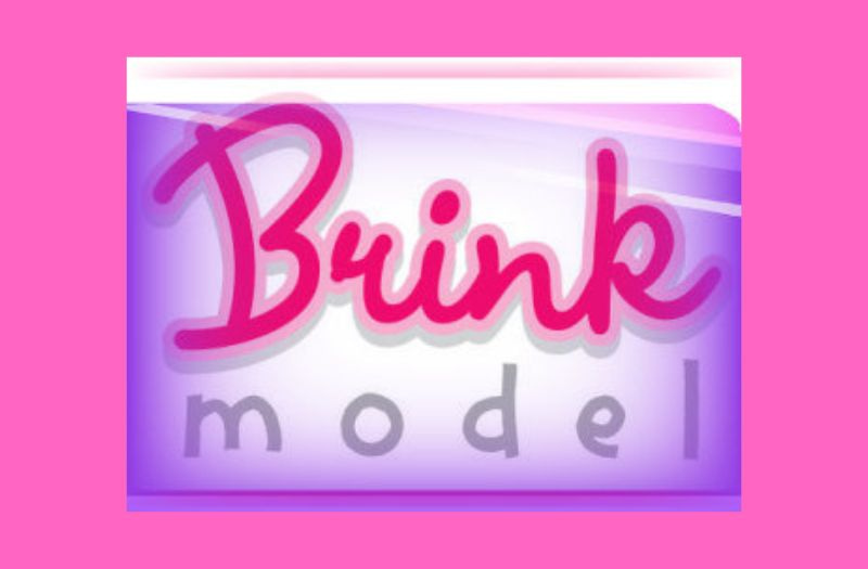 Brink Model